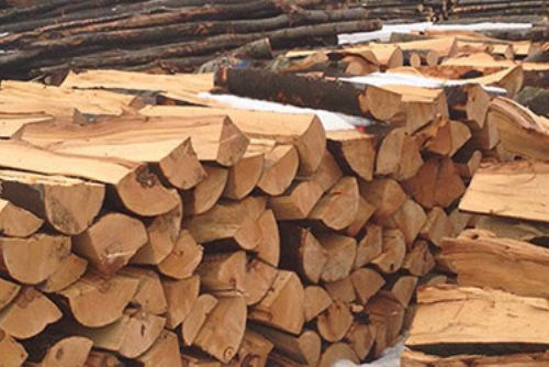 Foto: Nařezané dřevo u Víchova někdo odvezl