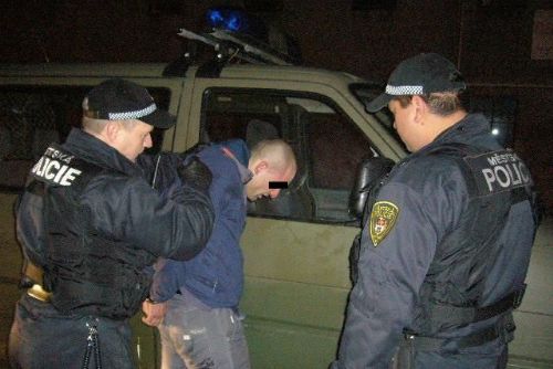 Foto: O víkendu strážníci v Plzni lifrovali opilce na záchytku
