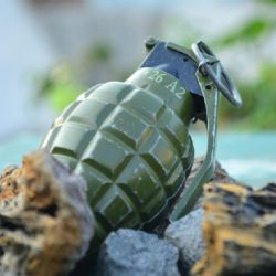 Syn vyhrožoval matce atrapou granátu, pak jí okradl