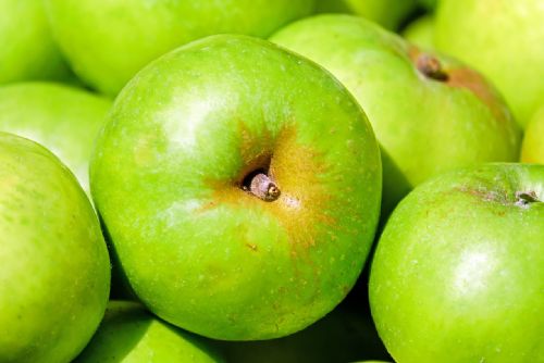 Foto: Sadaře na Plzeňsku trápí nejhorší úroda jablek za pětadvacet let