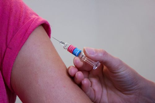 Foto: Očkování bez registrace pokračuje. Ve Stodě i pro mládež od 12 let