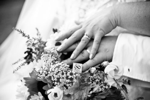 Foto: Svatební veletrh v Plzni přinese bohatou garderobu i diamantovou výhru