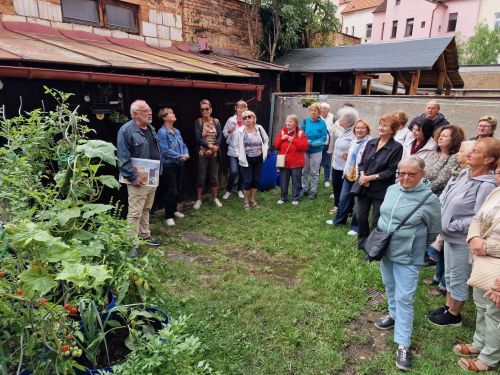 Senioři si prohlédli dvorky domů na plzeňském Petrohradu