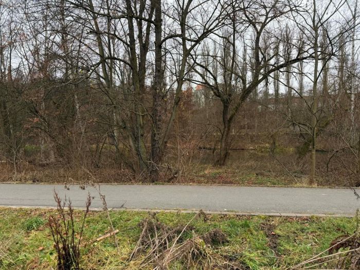 Z okolí řeky Radbuzy byl odstraněn nepořádek