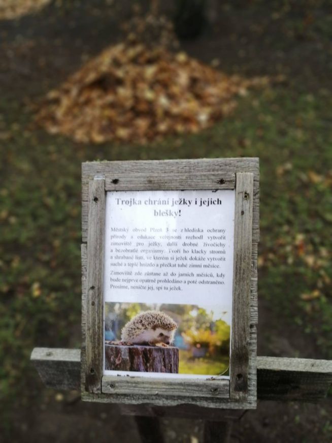 Ani letos centrální obvod nezapomněl. Trojka chrání ježky i jejich blešky už po čtvrté