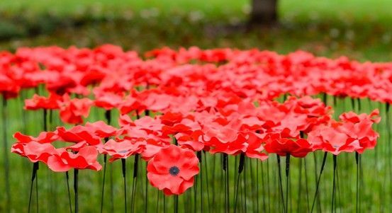 Plzeň uctila veterány pietou ve vlčím poli