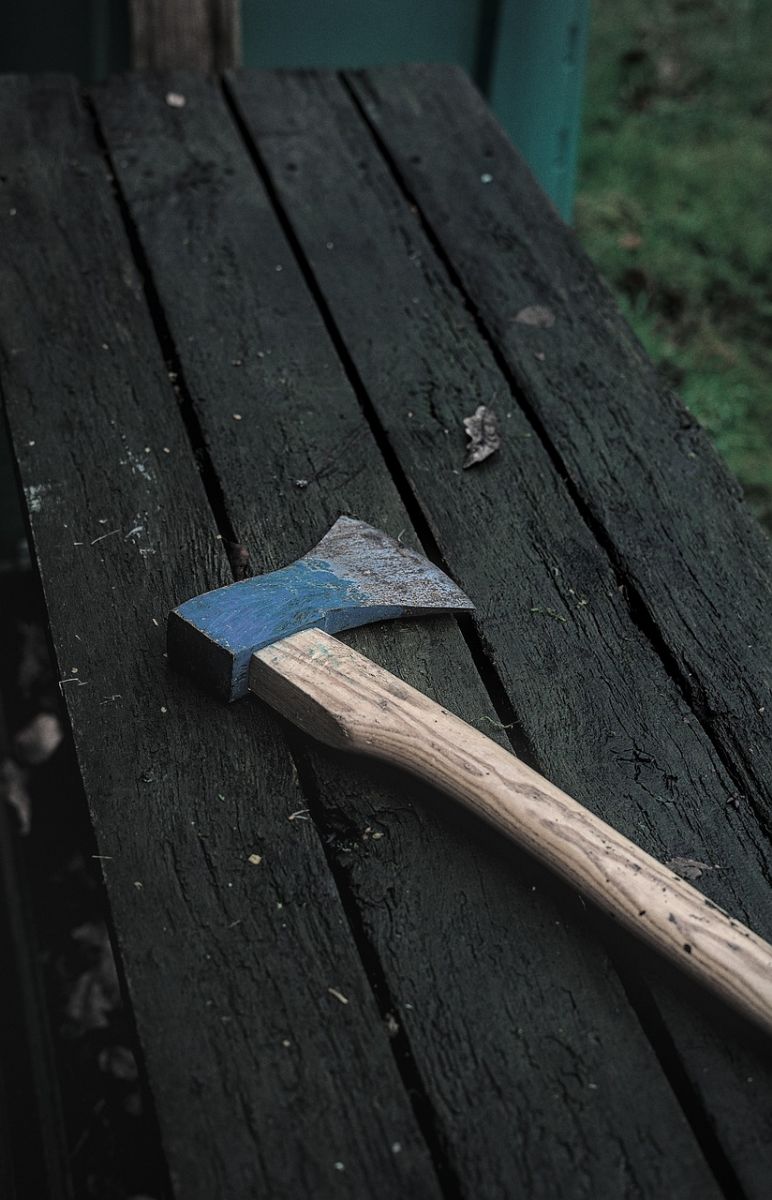 Soud s ex-primářem v Plzni - vražda sekerou a znásilnění