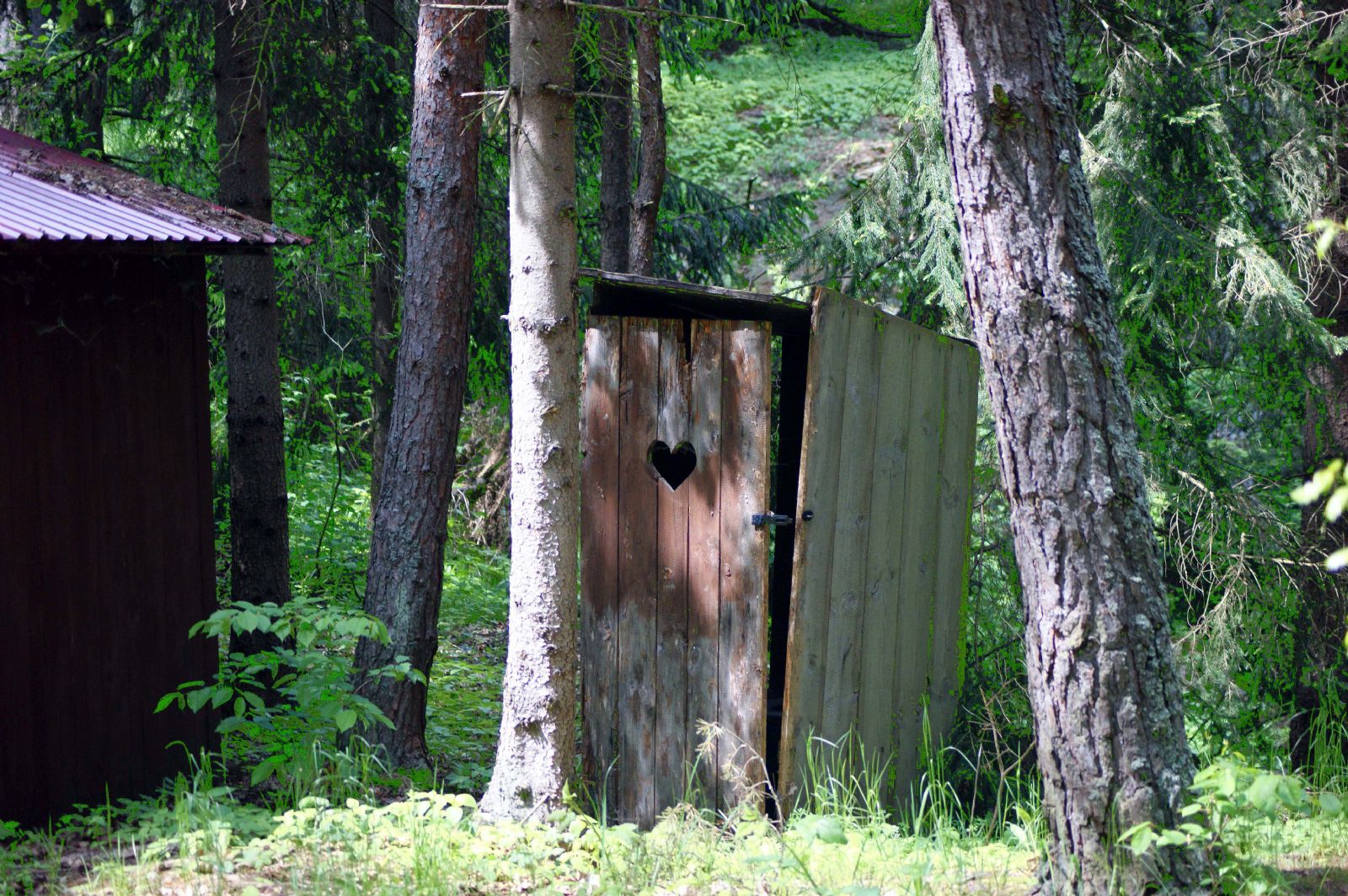 Tragický konec seniora - nalezen mrtvý v jímce