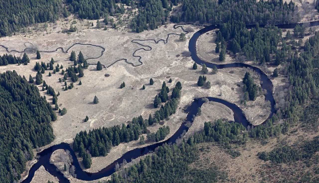 Konec krize na Šumavě - vlci pod kontrolou, centrum se otevírá