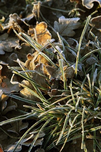 V neděli na Šumavě mrzlo