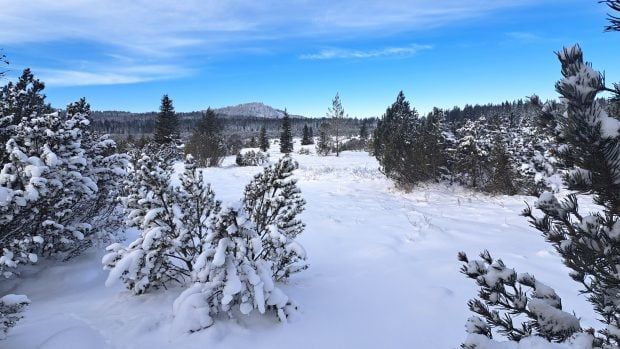 Mrazy a čerstvý sníh rozjíždí lyžařskou sezónu naplno