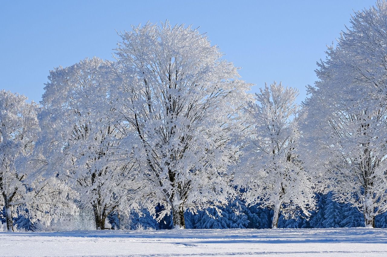 Rokytská slať na Šumavě naměřila -28,3 °C, jak bude o víkendu?