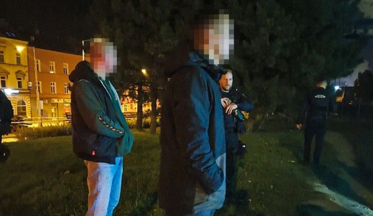 Noční rvačku v Plzni ukončil až policejní taser