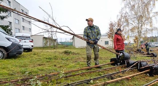Plzeň rozdává ovocné stromy pro lepší klima a estetiku města