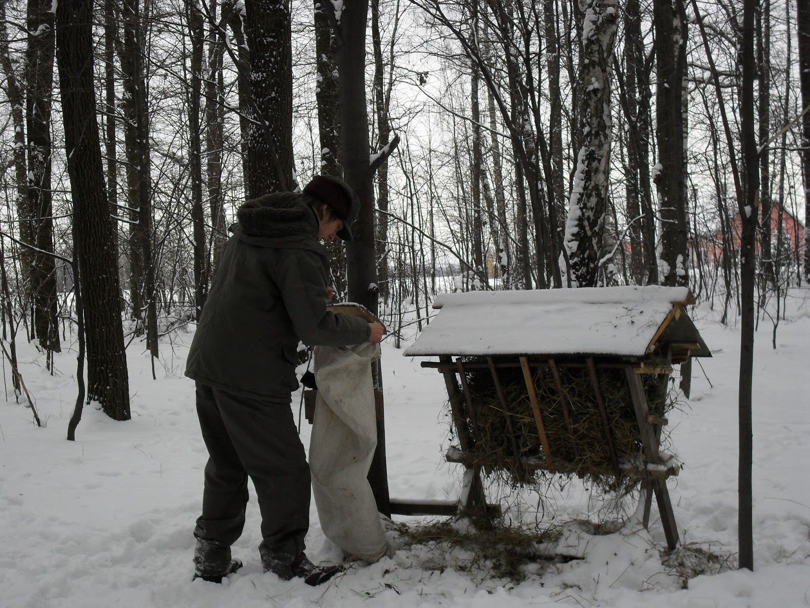 Krmelec není bufet, Lesy ČR varují před „pomocí“, která zvěři škodí