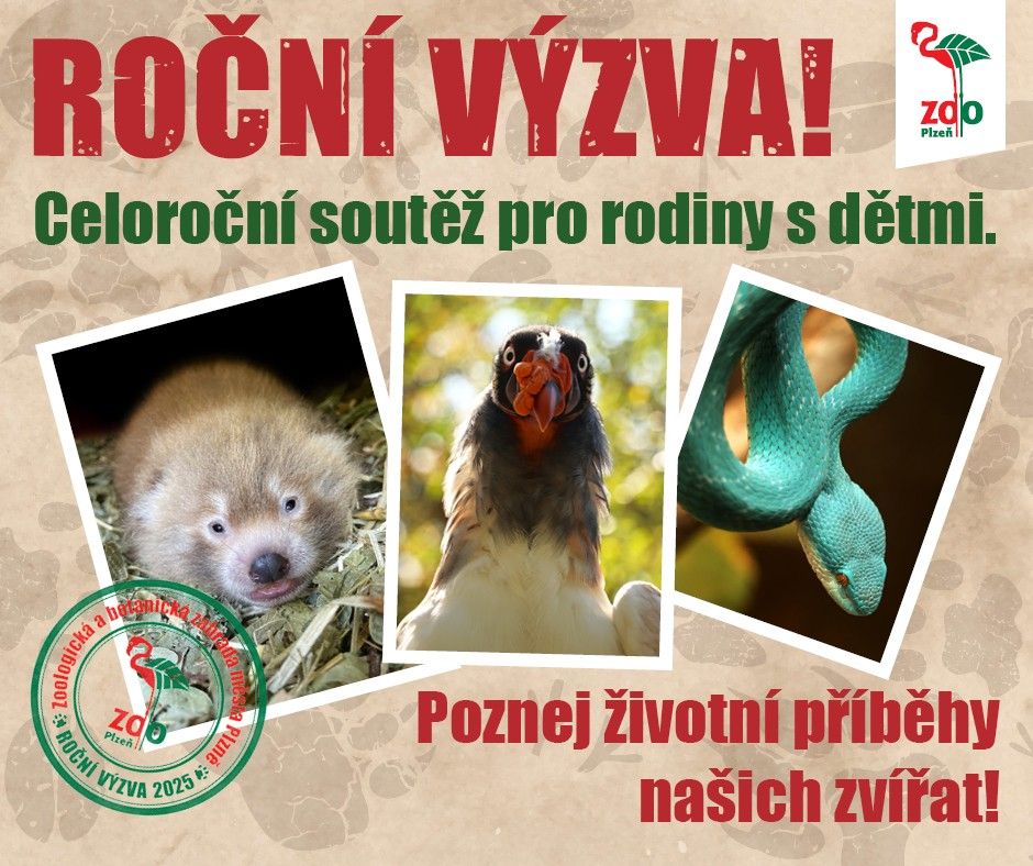 Zoo Plzeň láká rodiny na unikátní safari výzvu - poznej zvíře, získej odměnu