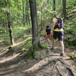 Mobilní aplikace pomáhá rozptýlit turisty. Nově zamířila i na Jedničku