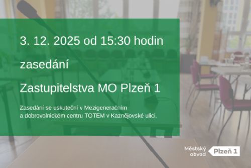 obrázek:Zasedání zastupitelstva