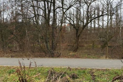 obrázek:Z okolí řeky Radbuzy byl odstraněn nepořádek