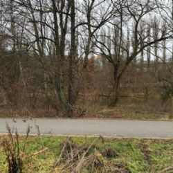 Z okolí řeky Radbuzy byl odstraněn nepořádek