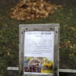 Ani letos centrální obvod nezapomněl. Trojka chrání ježky i jejich blešky už po čtvrté