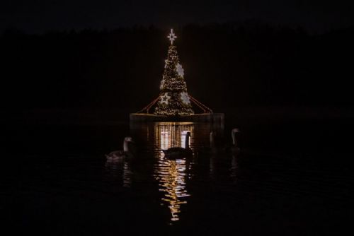 obrázek:Strom na hladině Borské přehrady rozzářila tisícovka návštěvníků