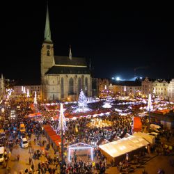 Plzeňským vánočním stromem letos bude douglaska, poprvé se rozsvítí 2. prosince 