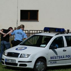 Mimořádná akce na psy