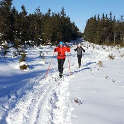 Na Šumavě vrcholí přípravy na zimu
