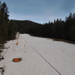 Bídná zima v lednu: na Špičáku se lyžuje na jedné sjezdovce a dětském hřišti 