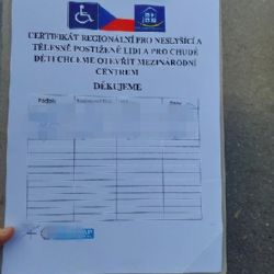 Cizinka v Plzni vybírala na falešnou sbírku