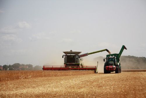 Foto: Farmáři z kraje se těší na slušnou sklizeň