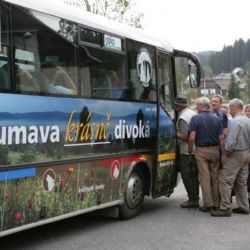 Zelené autobusy na Šumavě opět v létě jezdí