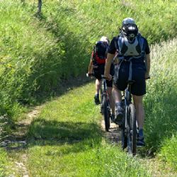 Na Vysoké u Plzně vzniknou singltreky pro bikery