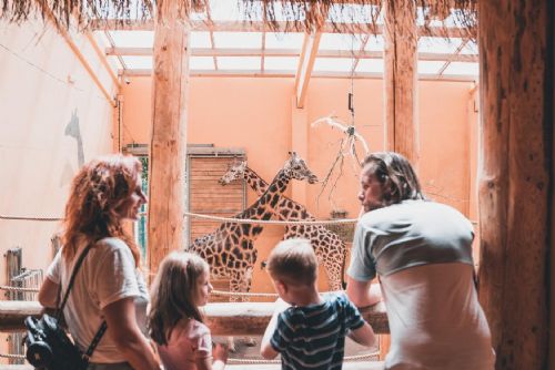 Foto: Pivovar a zoo patří mezi 15 nejnavštěvovanějších turistických cílů v Česku