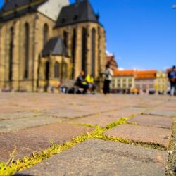 Plzeň koupí ekologický stroj na údržbu zeleně, bude čistit i graffiti či mobiliář