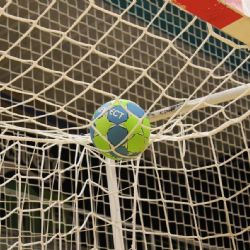 Plzeň rozdělí peníze sportovcům, na akce, pro kluby a vylepšení areálů