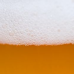 Plzeň si vyzkouší umělou inteligenci všemi smysly, třeba při čepování piva