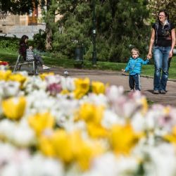Plzeň spotřebuje víc vody na zalévání