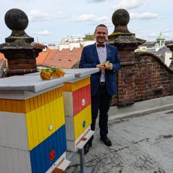 Plzeň stočila první med z úlů na střeše radnice 