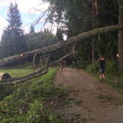 Šumavský hotel Modrava už podruhé za letošní podzim poškodily padající stromy