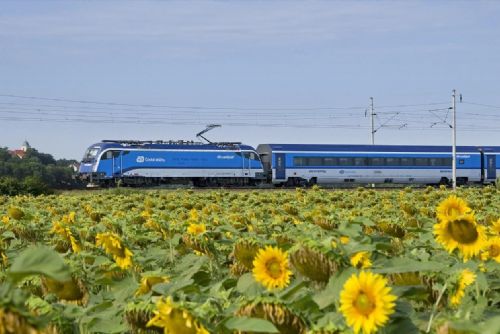 Foto: Startuje dvouměsíční výluka na trati Plzeň - Cheb