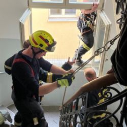 Strážníci v Plzni zachraňovali uvízlou poštolku