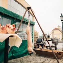 Tradiční zabijačkové hody v Plzeňském Prazdroji se konají v sobotu 8. března 