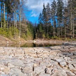 V brdských lesích vznikly další dvě nádrže, mají zlepšit vodní bilanci i biodiverzitu