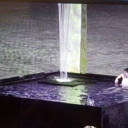 V kašně Velbloud na náměstí v Plzni se koupali dva muži