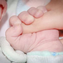 V Plzni se loni narodilo méně dětí. Mezi nimi Anahit i Koniáš