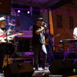 V Plzni se opět v létě uskuteční multižánrový letní Festival na ulici