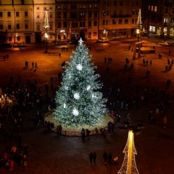 V Plzni už září vánoční strom na náměstí Republiky