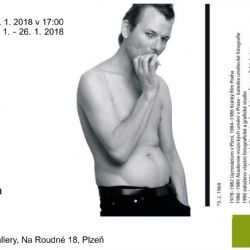 Visio Art Gallery vystavuje portréty Ivana Valy